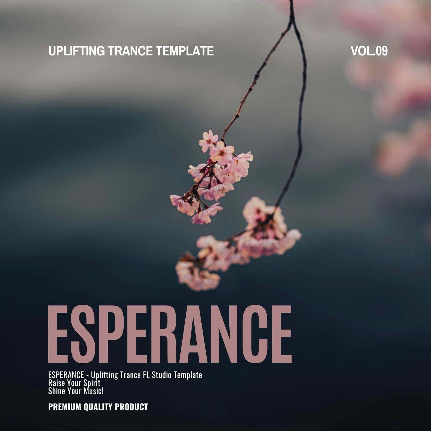 Esperance - Uplifting Trance FL Studio Template Vol.9